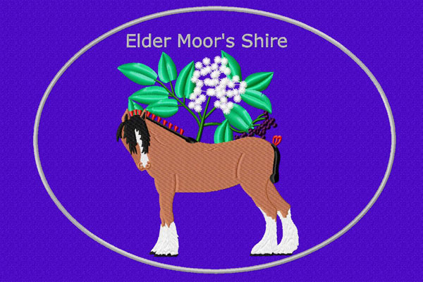 Elder Moor´s Shire